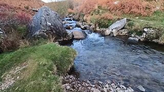 River Lyd . Dartmoor. March 2022