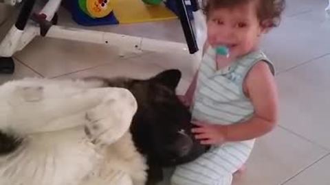 This Affectionate Akita Shares Precious Hugs With Baby