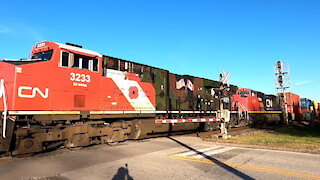 CN 3233 Military Tribute & CN 8101 Locomotives Westbound Stack Train On Strathroy Sub