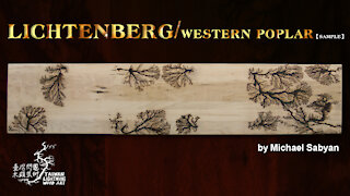 Lichtenberg on western poplar/sample/Ep1