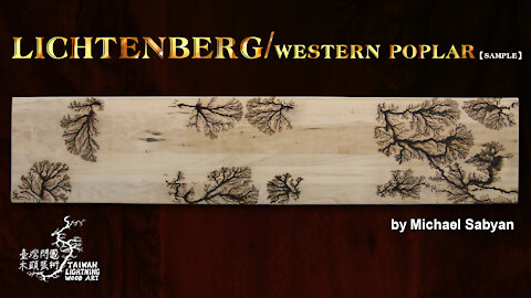Lichtenberg on western poplar/sample/Ep1