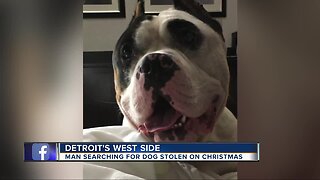 Man searching for dog stolen on Christmas