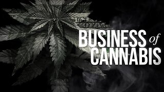 A High Price to Pay: The Business of Cannabis | PARAGRAPHIC