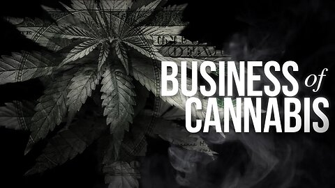 A High Price to Pay: The Business of Cannabis | PARAGRAPHIC