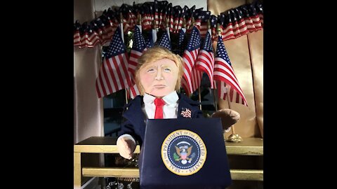 Part 10 - Adorable Deplorable Dolls For Trump 2020