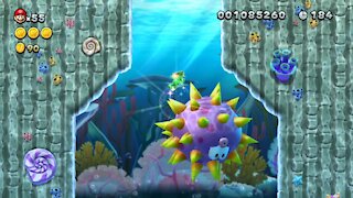 Sparkling Waters-2 Tropical Refresher (All Star Coins) Nintendo Switch New Super Mario Bros U Deluxe