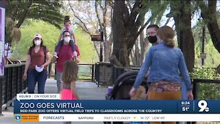 Reid Park Zoo offers virtual field trips for students