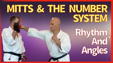 The Punch Number System. A Great Way to Work Your Punches. Training with Shihan Cameron Quinn