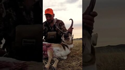 Public Land Pronghorn Antelope Hunt!
