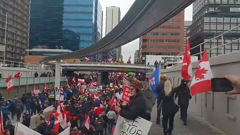 Thousands March In Calgary As Tyrannical Force Takes Wellington Street in Ottawa