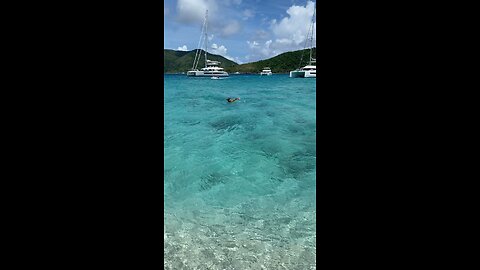 Snorkeling in BVIs