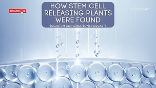 How Do Stem Cells Work (+ How We Found This New Approach to Boost Them!)