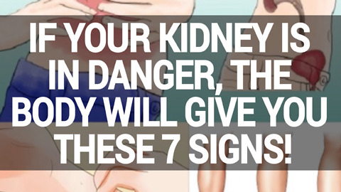 If Your kidney Is in Danger, The body Will give you These 7 Signs!