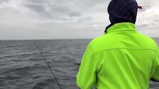 Ce phoque vole le poisson d'un pêcheur