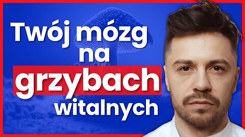 Niedoceniany SUPERFOOD - Grzyby Lecznicze dla Wsparcia Zdrowia - Mateusz Jasiński