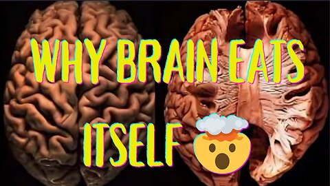 Why Brain Eats itself 🕵️‍♂️😲🤯 #nittygritty #sciencefacts