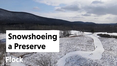 SNOWSHOEING in a Preserve — Ep. 144