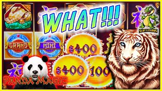 NAUGHTY KITTY N PANDA BETTER THAN JACKPOT! Buffalo Gold, Mighty Cash Tiger Roar Panda Magic Slot