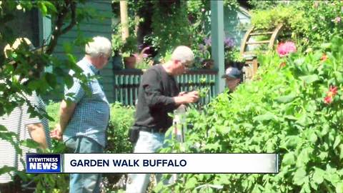 Buffalo holds annual garden tour citywide