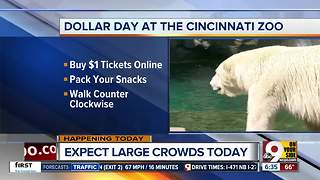 It's $1 day at the Cincinnati Zoo