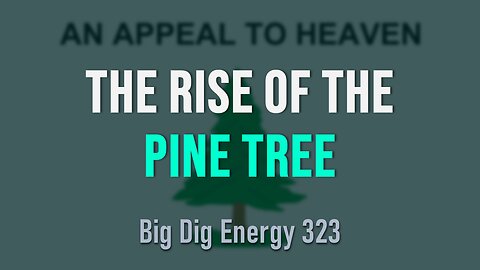 Big Dig Energy 323: The Rise of the Pine Tree