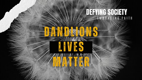 Dandelions Lives Matter 4/23/2024