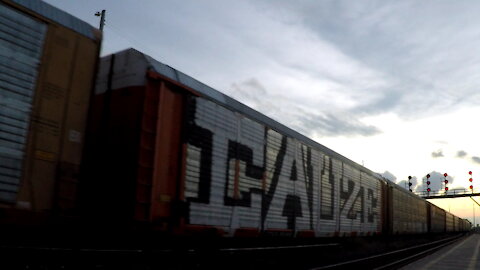 Eastbound Autorack Train 274 In Ontario With CN 3883 & CN 2938 Locomotives