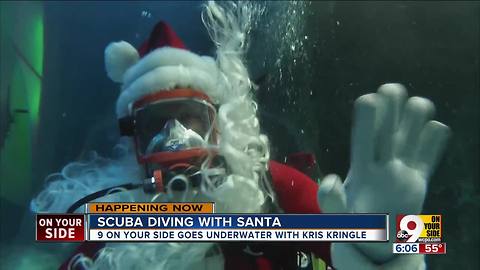 Scuba diving with Santa at the Newport Aquarium