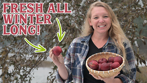 She keeps apples fresh all winter long using this simple method!