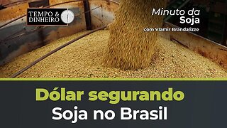 Dólar segurando Soja no Brasil