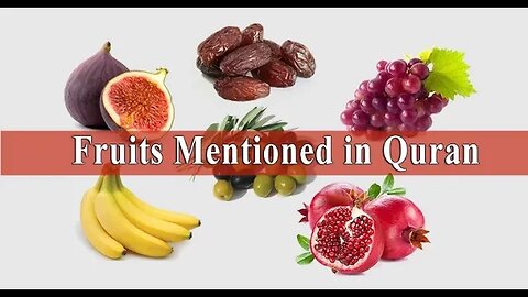 Fruits Mentioned in Quran || Jr.KG & Sr.KG || Saidabad Branch