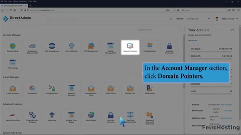 How to remove domain pointer in DirectAdmin FelizHosting