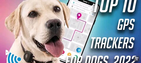 Top 10 Gps Trackers for Dogs 2022 | Best Gps Pet Tracker