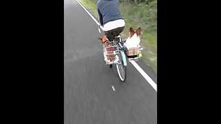 Obedient Dogs Sit In Custom Baskets During A Bike Ride