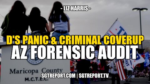 D'S PANIC & CRIMINAL COVERUP: AZ FORENSIC AUDIT -- LIZ HARRIS
