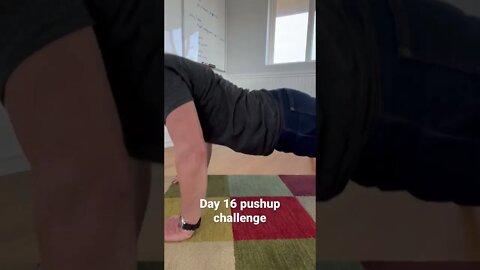 Day 16 pushup challenge