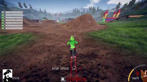 Descenders