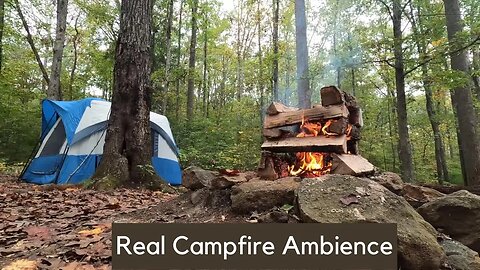 Campfire Ambience in the Forest🔥Relaxing Crackling Fire Sounds | 10 Hours
