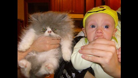Baby and Persian Kitten at a party