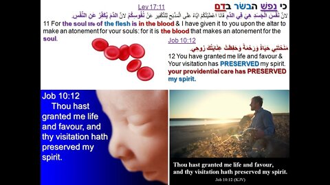 Ps Suzy Antoun-Did really God said dont drink or eat blood it is your soul? Why He changed His mind?