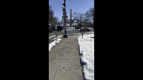 PART 1 - Scenic One-Hour Walk Through the National Mall | WAIT FOR THE SURPRISE END! 🐴🐎