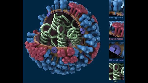 Knowledge💣💣 H1N1~ZOONOSIS~COVPRICK