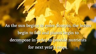 Astrology in Autumn & What It Brings & What We Should Do