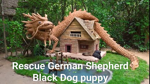 Home made for 3 German Shepherd Black Dog puppy