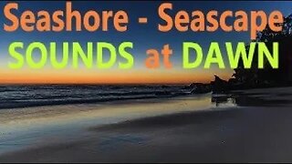 Epic Soothing Seashore Waves - Beach Sounds at DAWN - Focus Study Work Meditate Relax - 11 Hours