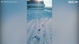Dono salva cão preso em rio congelado