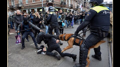 Lockdown protesters are MAULED by police dogs in Amsterdam