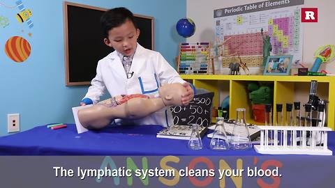 Anson Wong, boy genius, explains the lymphatic system | Anson's Answers