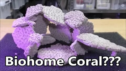 Biohome Coral ?? What Do YOU Think?
