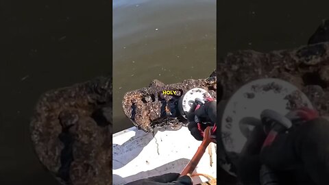 Wild Looking Object Pulled From River While Magnet Fishing! #magnetfishing